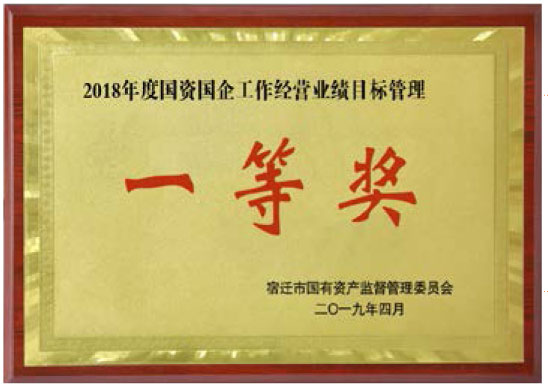 2018年度國資企業(yè)工作經(jīng)營業(yè)績目標(biāo)管理一等獎